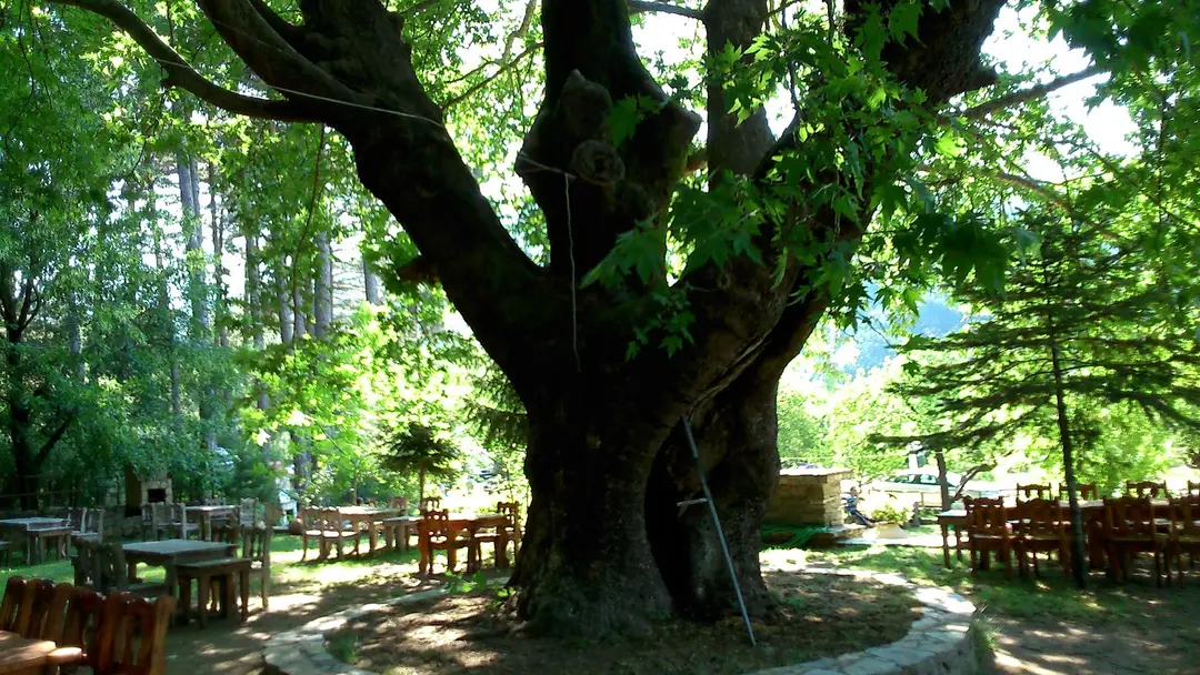 Daridere Nature Park — Balıkesir — küçük resim 7