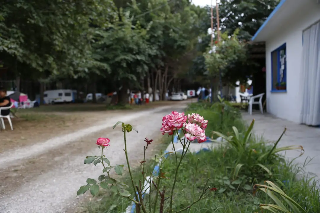 Kapıdağ Camping — Balıkesir — küçük resim 3
