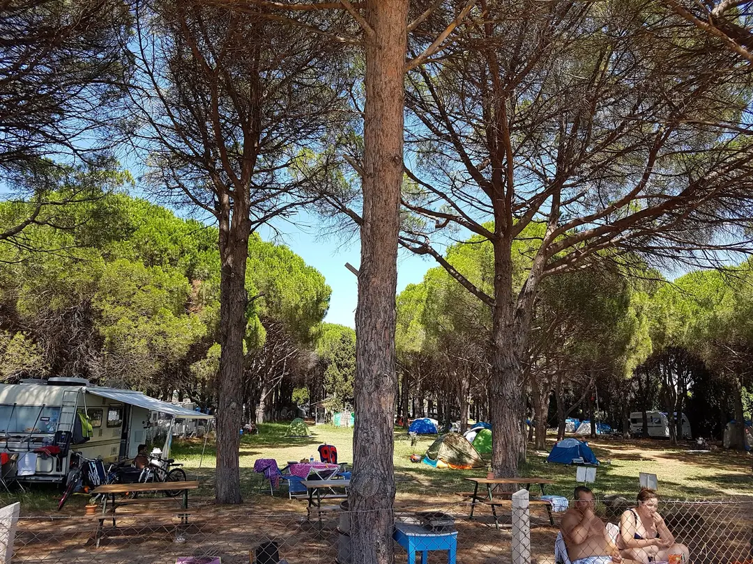 Kapıdağ Camping — Balıkesir — küçük resim 8