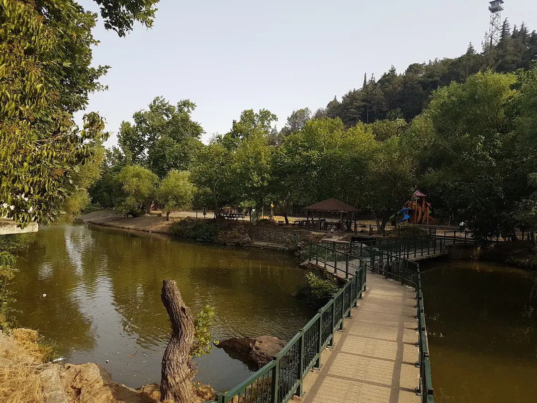 Değirmenboğazı Tabiat Parkı — Balıkesir — küçük resim 4