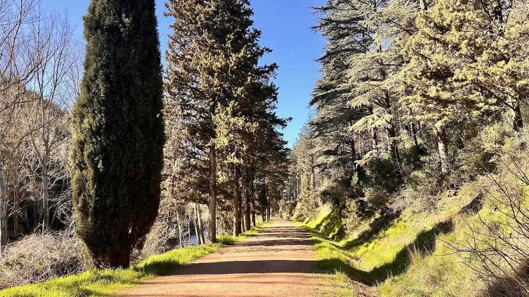 Değirmenboğazı Tabiat Parkı — Balıkesir — küçük resim 5