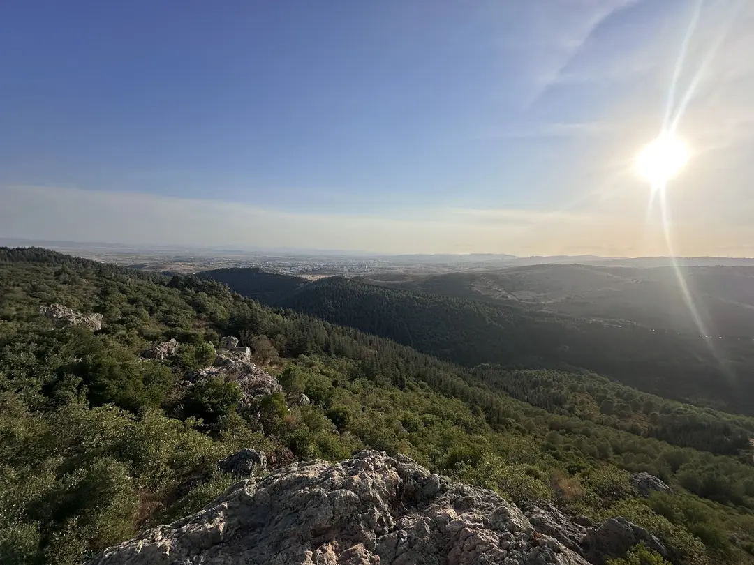 Değirmenboğazı Tabiat Parkı — Balıkesir — küçük resim 8