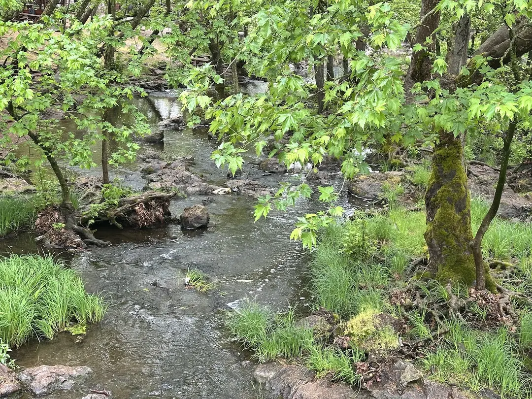Değirmenboğazı Tabiat Parkı — Balıkesir — küçük resim 10