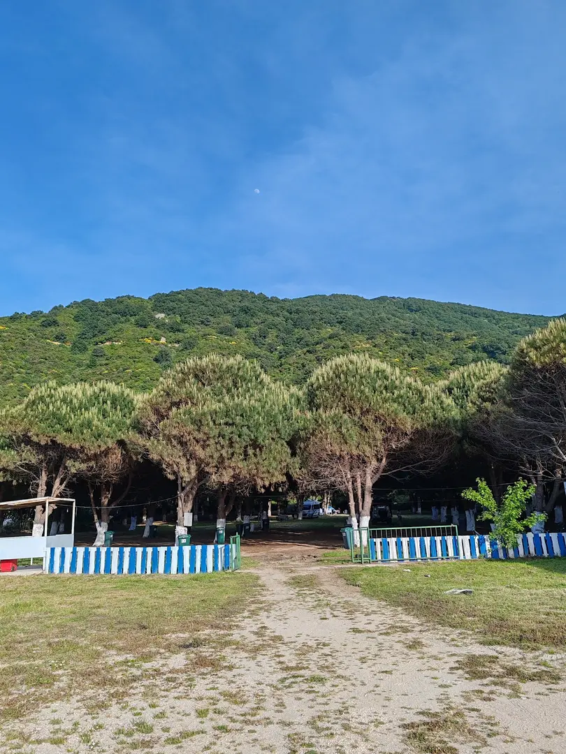 Çamlıkaltı Camping Cafe — Balıkesir — küçük resim 2