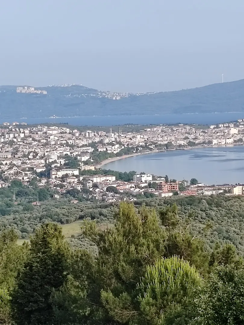 Çamlıkaltı Camping Cafe