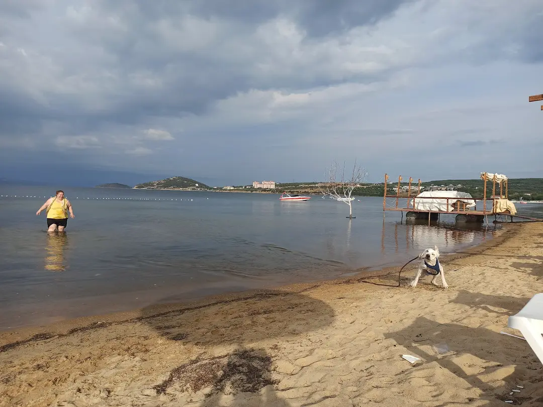 Cumhuriyet Camping — Balıkesir — küçük resim 5