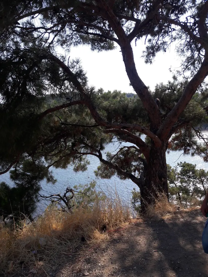 Sarimsaklı Nature Park — Balıkesir — küçük resim 6