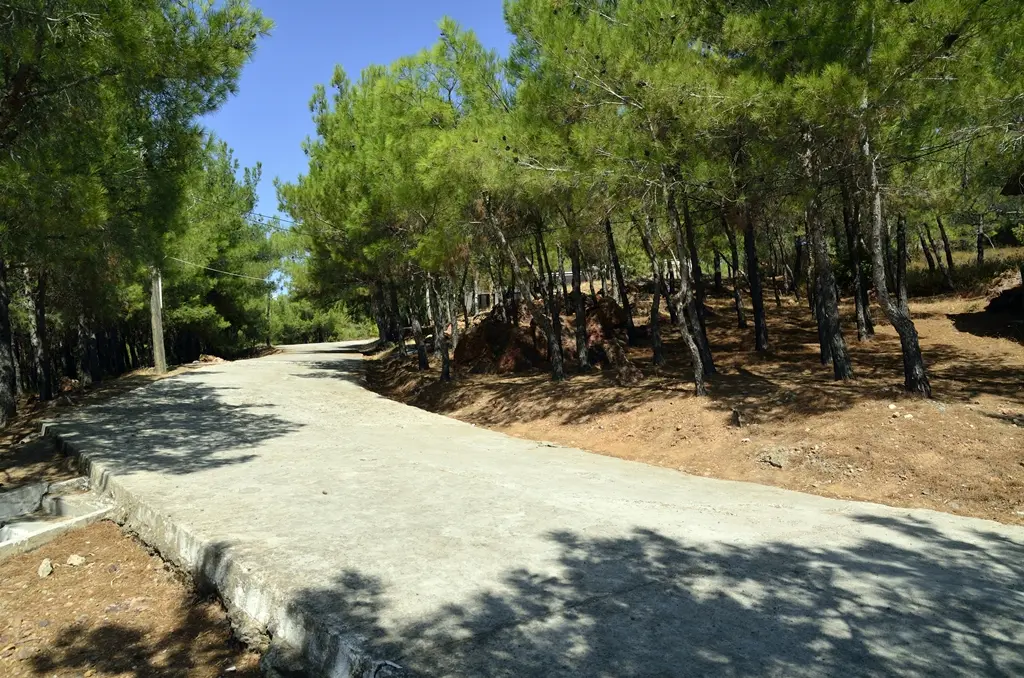 Sarimsaklı Nature Park — Balıkesir — küçük resim 3