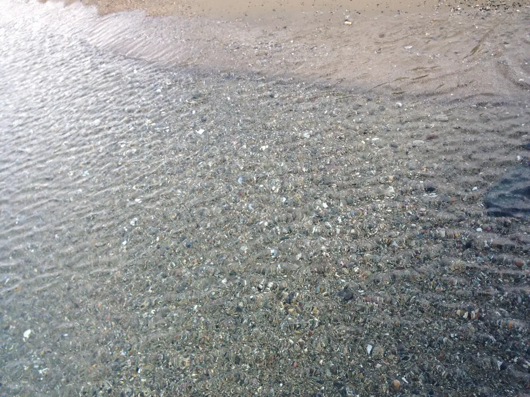 ENDEMİK KAMPİNG BEACH — Balıkesir — küçük resim 4