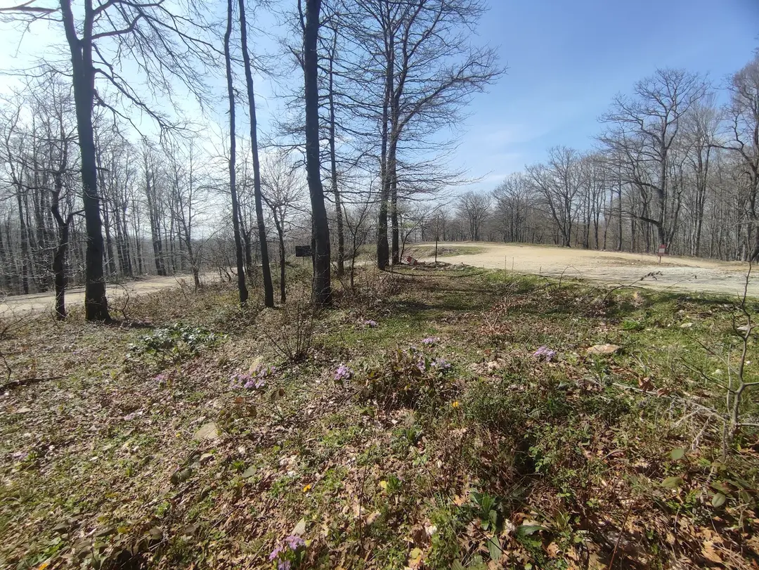 Aygır Campingplatz — Balıkesir — küçük resim 4