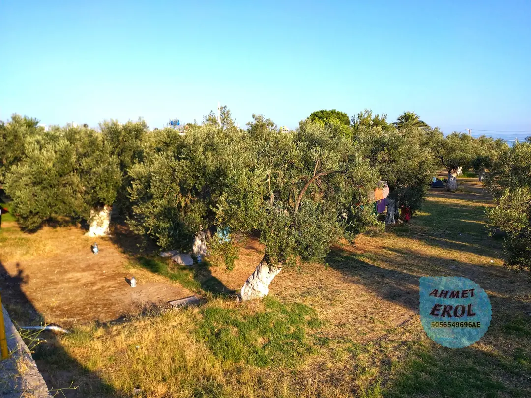 Antandros Camping Karavan — Balıkesir — küçük resim 6