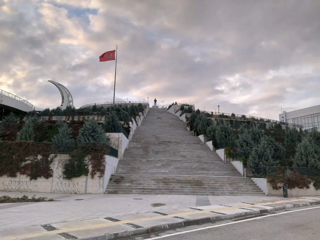 Umut Karaoğlanoğlu Skog — Balıkesir — küçük resim 5