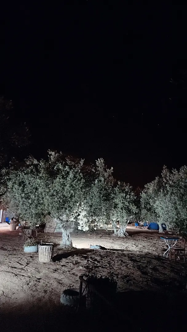 Avşa Camping — Balıkesir — küçük resim 6