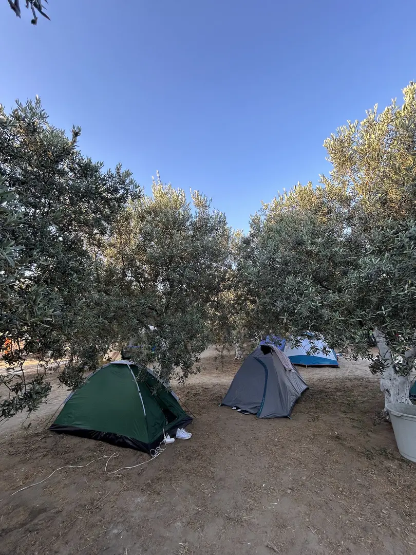 Avşa Camping — Balıkesir — küçük resim 2