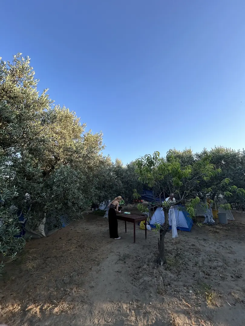 Avşa Camping — Balıkesir — küçük resim 10