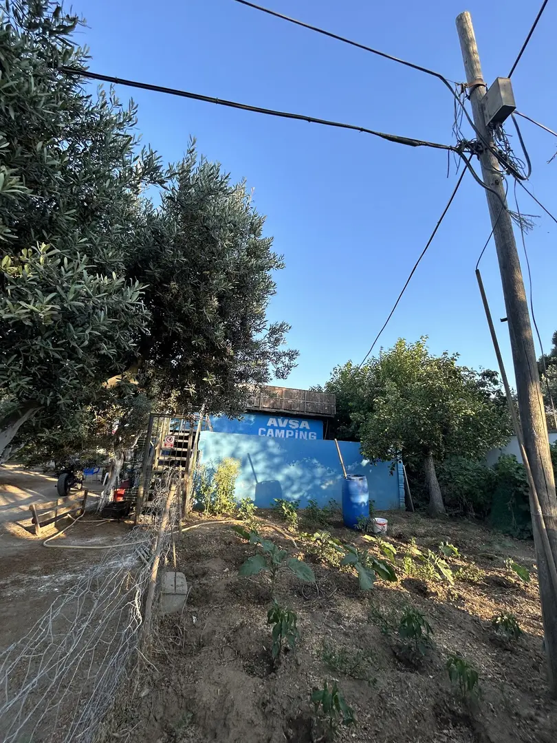 Avşa Camping — Balıkesir — küçük resim 4