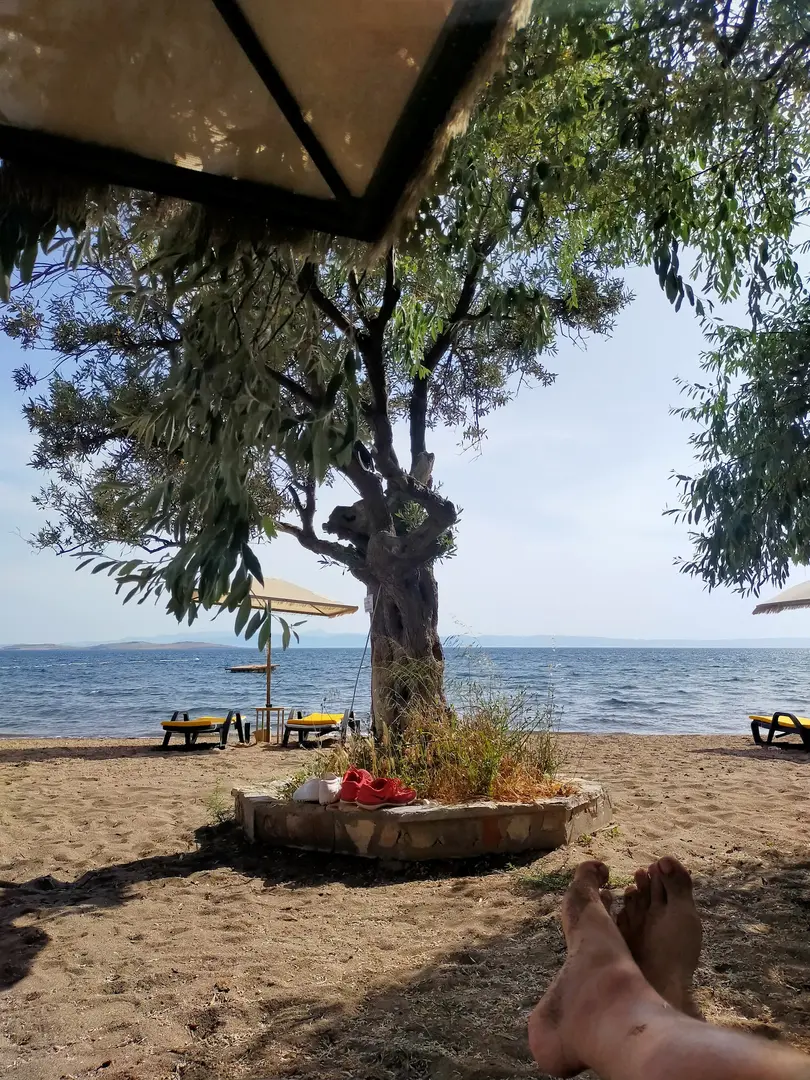 Akvaryum Koy — Balıkesir — küçük resim 8