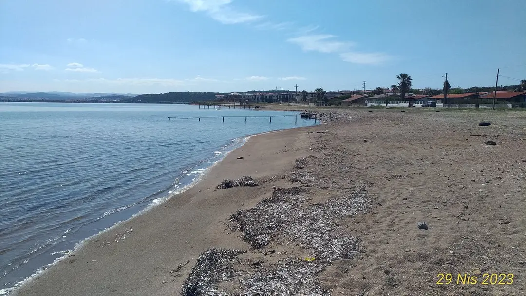 Mürşide Ersoy Koyu — Balıkesir — küçük resim 4