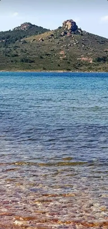 Mürşide Ersoy Koyu