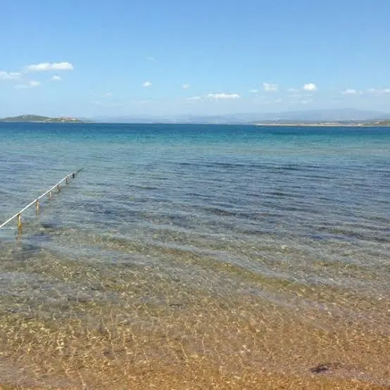 Mürşide Ersoy Koyu — Balıkesir — küçük resim 8