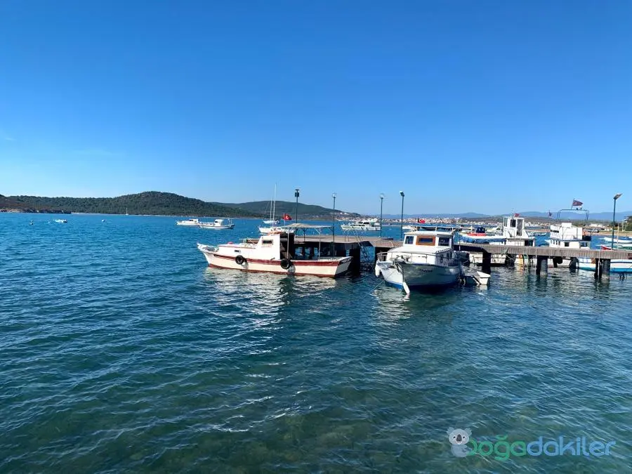 Ayvalık Islands Nature Park — Balıkesir — küçük resim 8