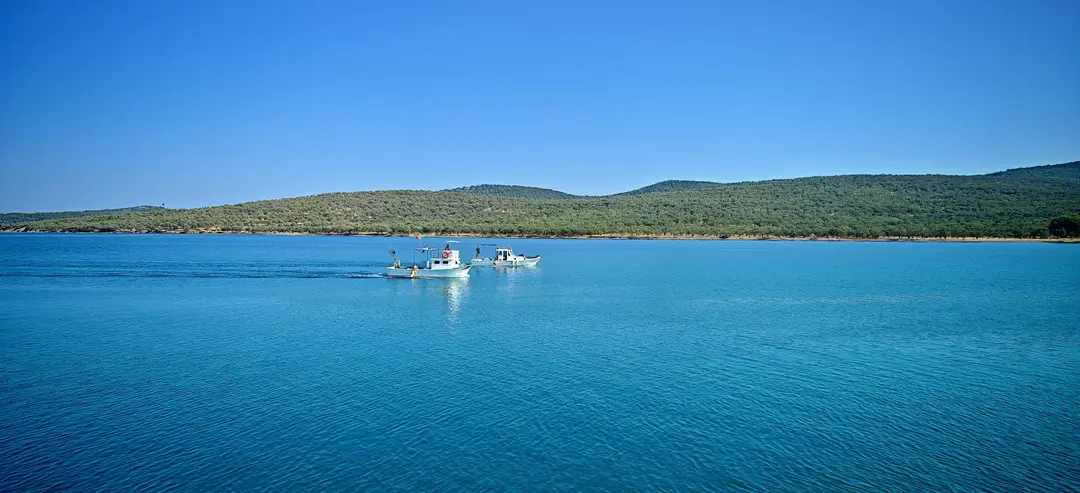 Ayvalık Islands Nature Park — Balıkesir — küçük resim 3