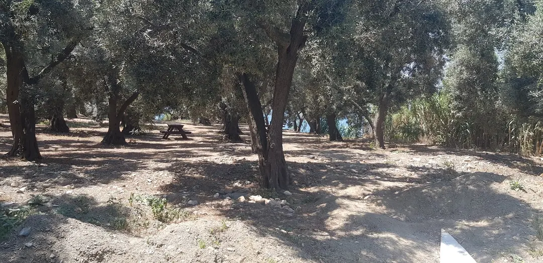 Kümbetoğlu Camping — Balıkesir — küçük resim 10