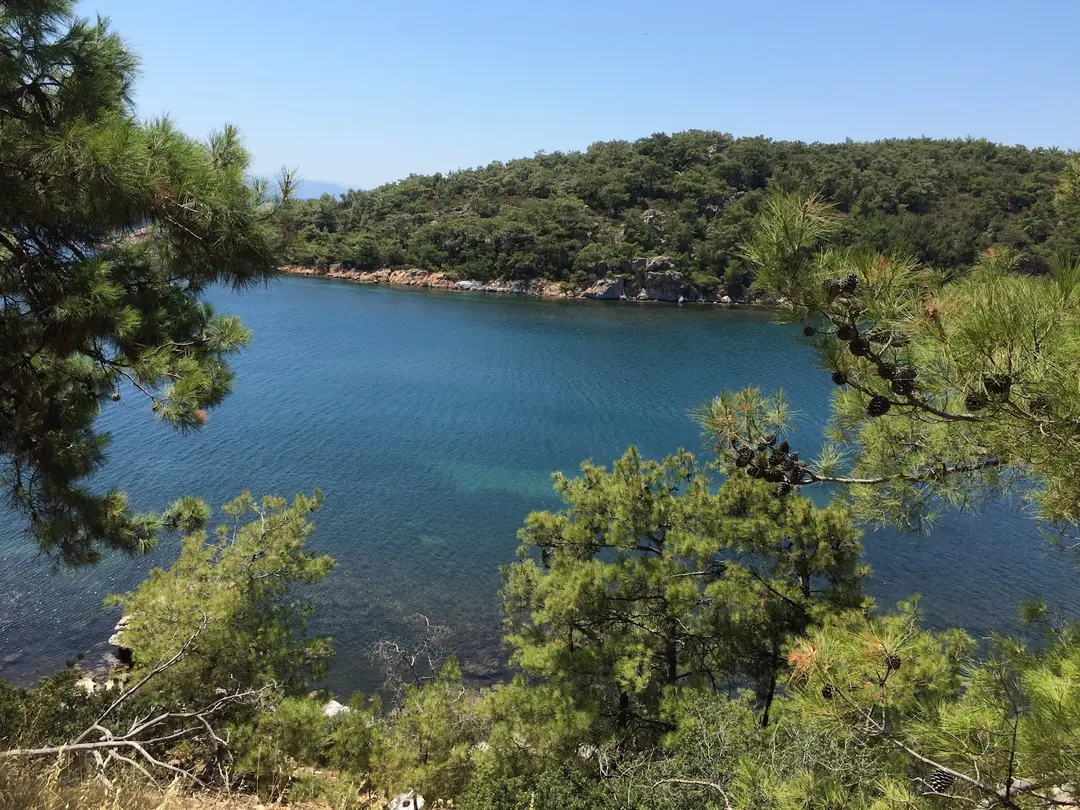 Ortunç Koyu — Balıkesir — küçük resim 2