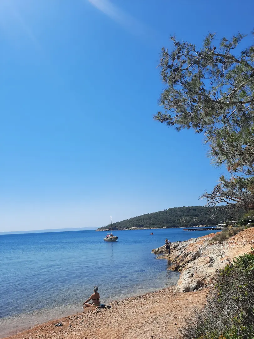 Ortunç Koyu — Balıkesir — küçük resim 6