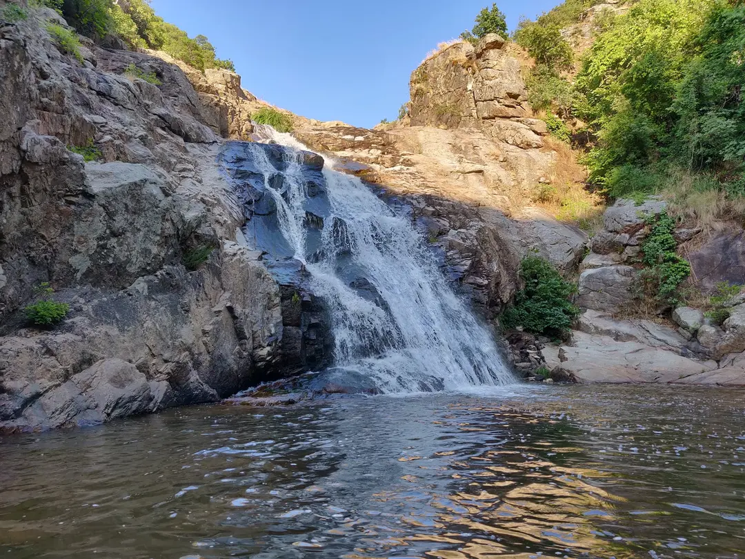 çaylak şelalesi