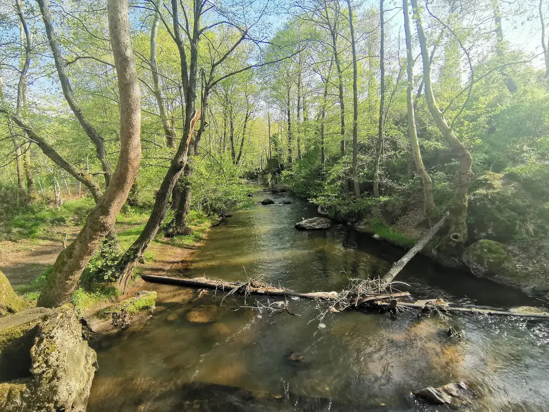 Çaylak Waterfall — Balıkesir — küçük resim 9