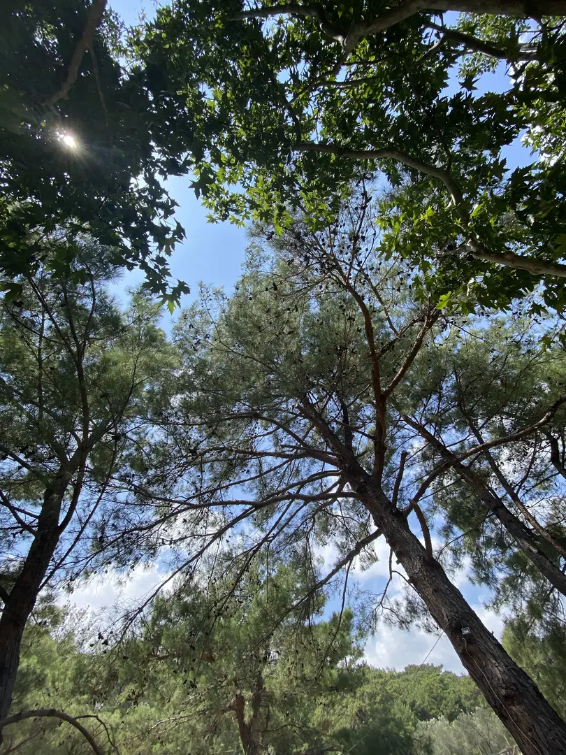 Troltunga Camping - Kazdağları — Balıkesir — küçük resim 9