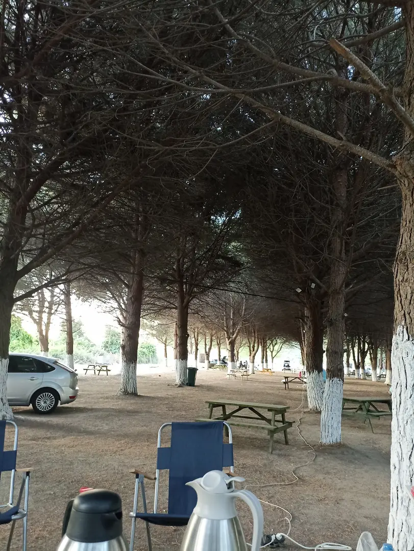 Cerenin yeri — Balıkesir — küçük resim 6