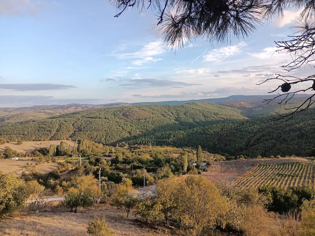 I am waiting for caravan and tent campers to my village.. — Balıkesir — küçük resim 6