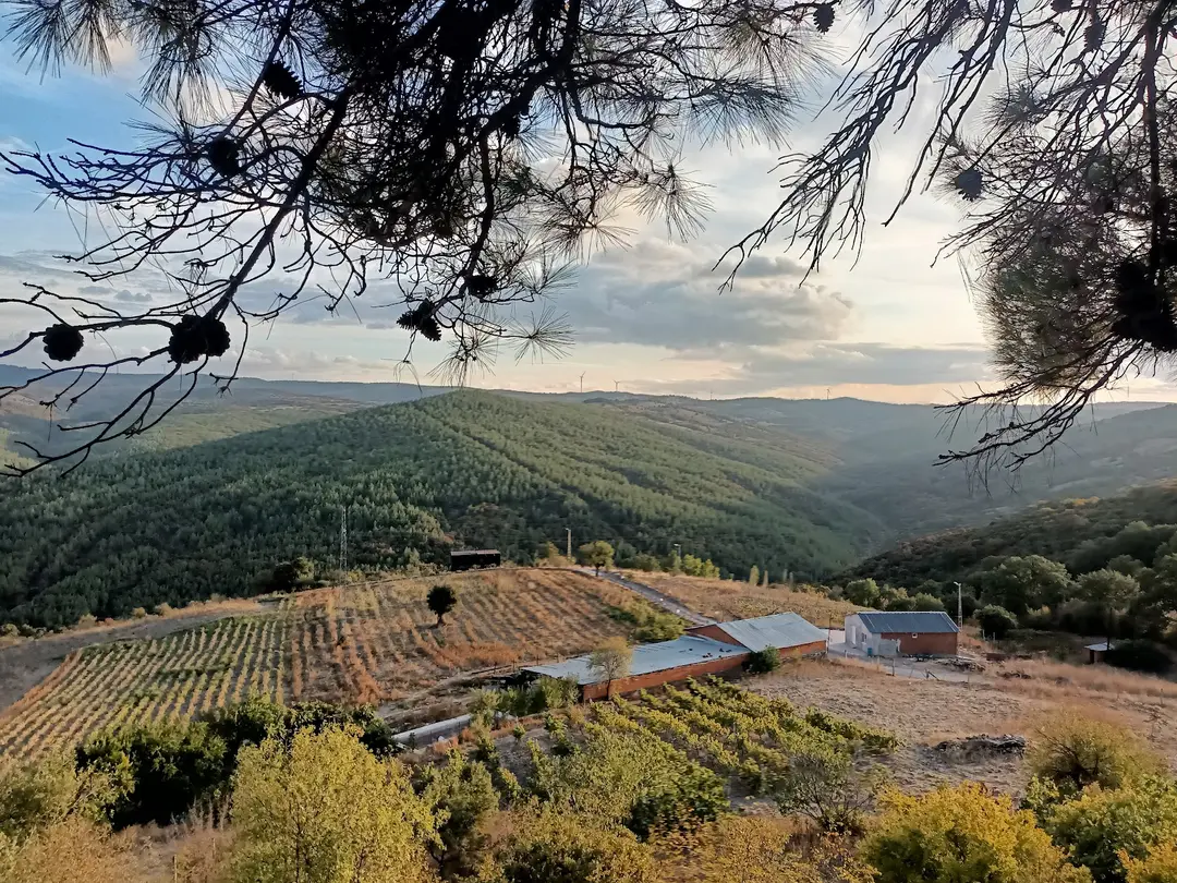 I am waiting for caravan and tent campers to my village.. — Balıkesir — küçük resim 2