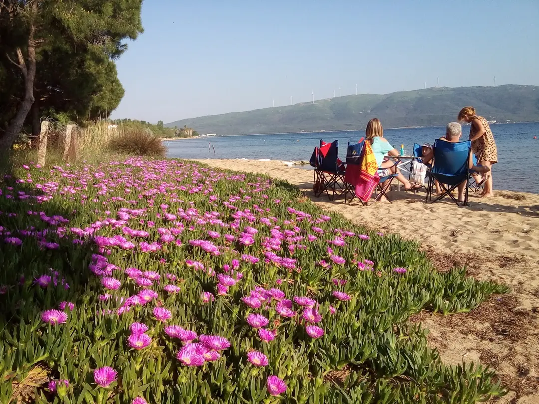 ANT Camping — Balıkesir — küçük resim 6
