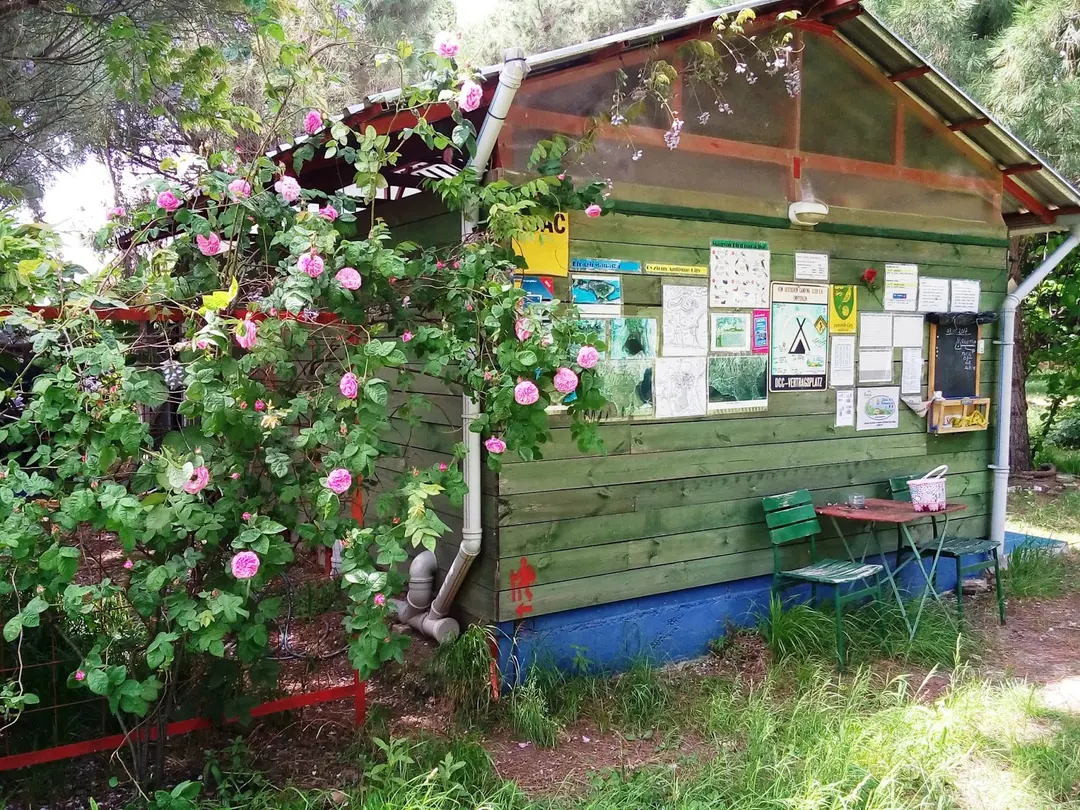 ANT Camping — Balıkesir — küçük resim 4