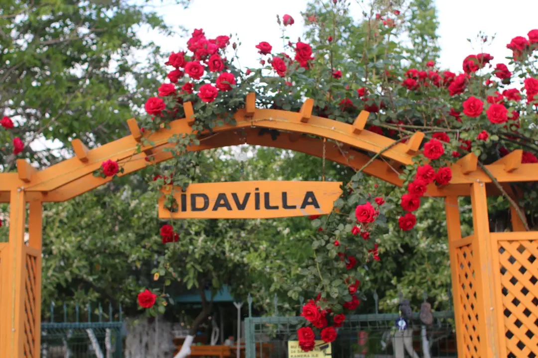 İdavilla Bungalov&Bahçe — Balıkesir — küçük resim 9