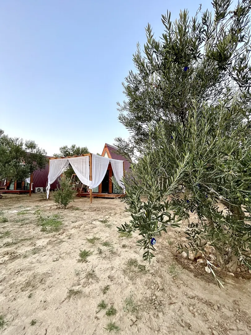 Búngida Bungalov — Balıkesir — küçük resim 4
