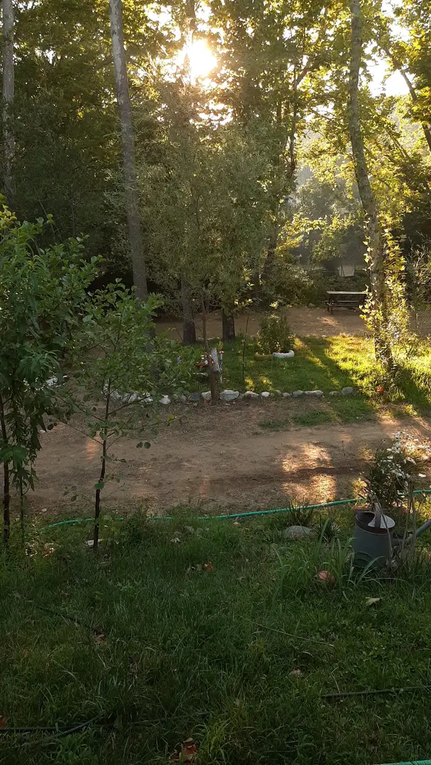 NATURLAND BUNGALOW OTEL-RESTORAN — Balıkesir — küçük resim 6
