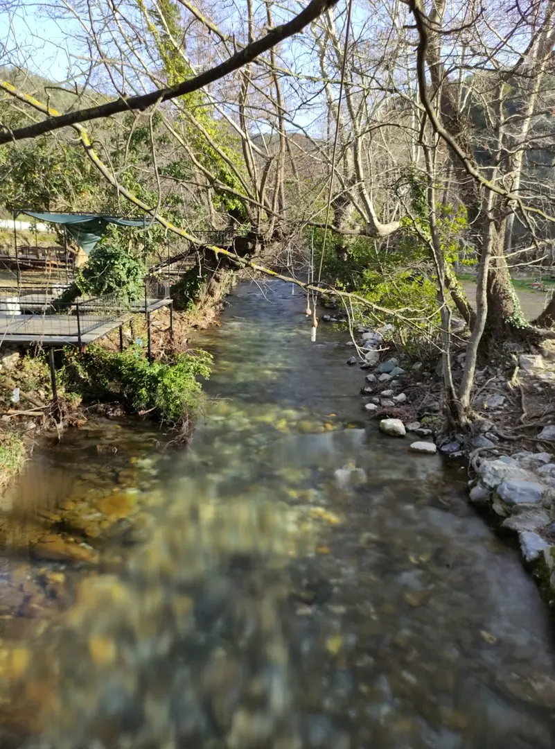 NATURLAND BUNGALOW OTEL-RESTORAN — Balıkesir — küçük resim 4