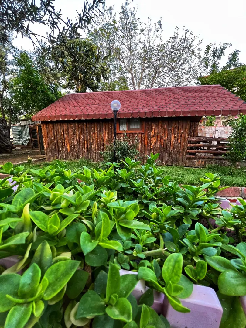ZeytinDağı bungalow otel