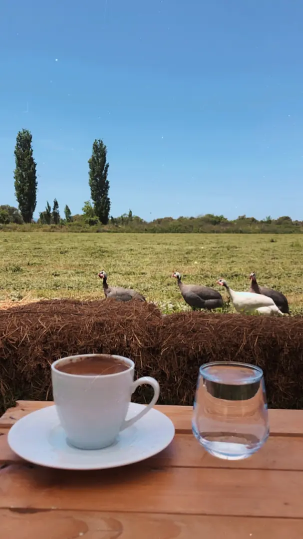 Sural Çiftliği — Balıkesir — küçük resim 7