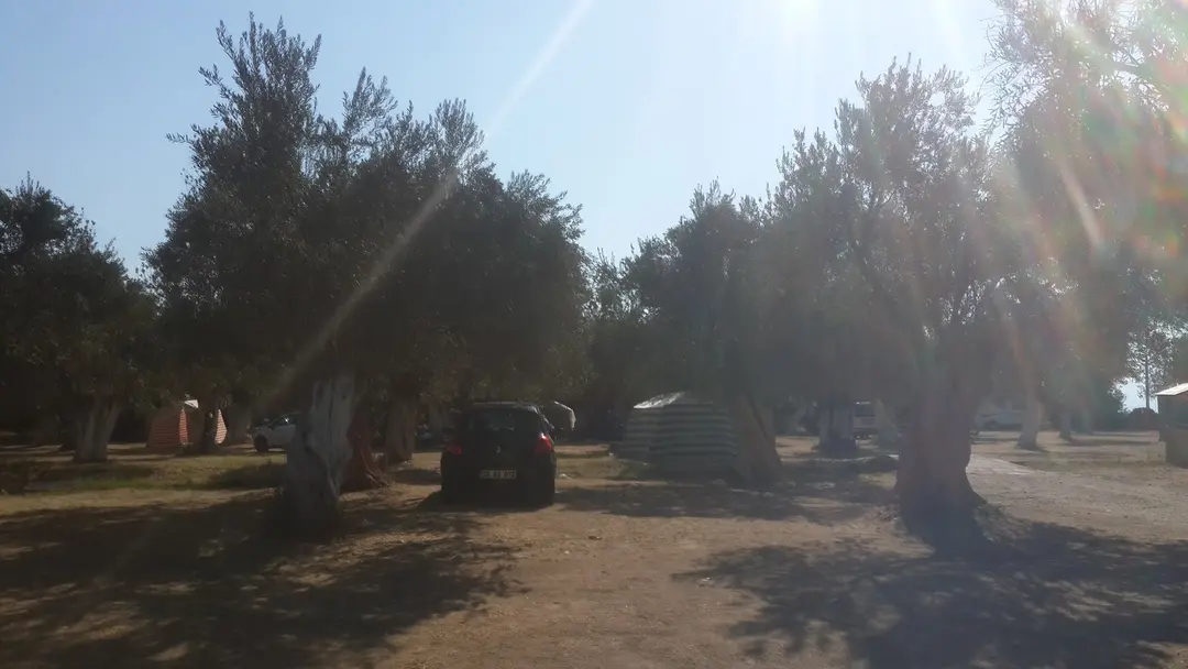 Antandros Bungalow Hotel — Balıkesir — küçük resim 8