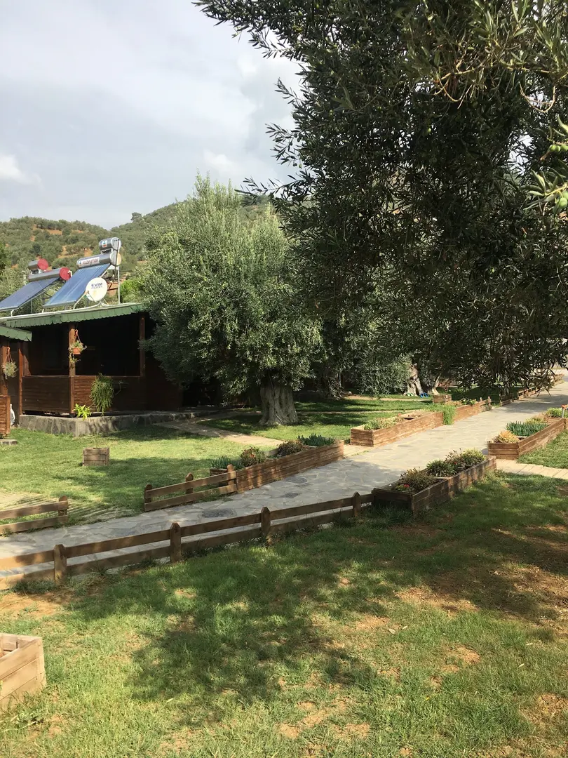 Zytun Bungalows — Çanakkale — küçük resim 8