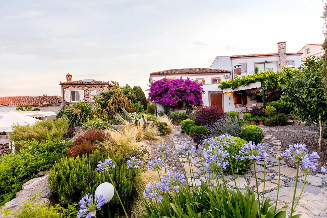 Begonvilla Evleri | Cunda — Balıkesir — küçük resim 4