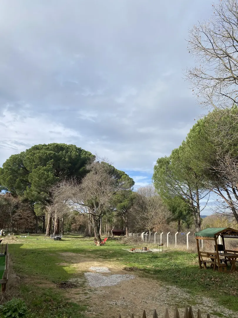 Kozak Bungalov Evleri — İzmir — küçük resim 2