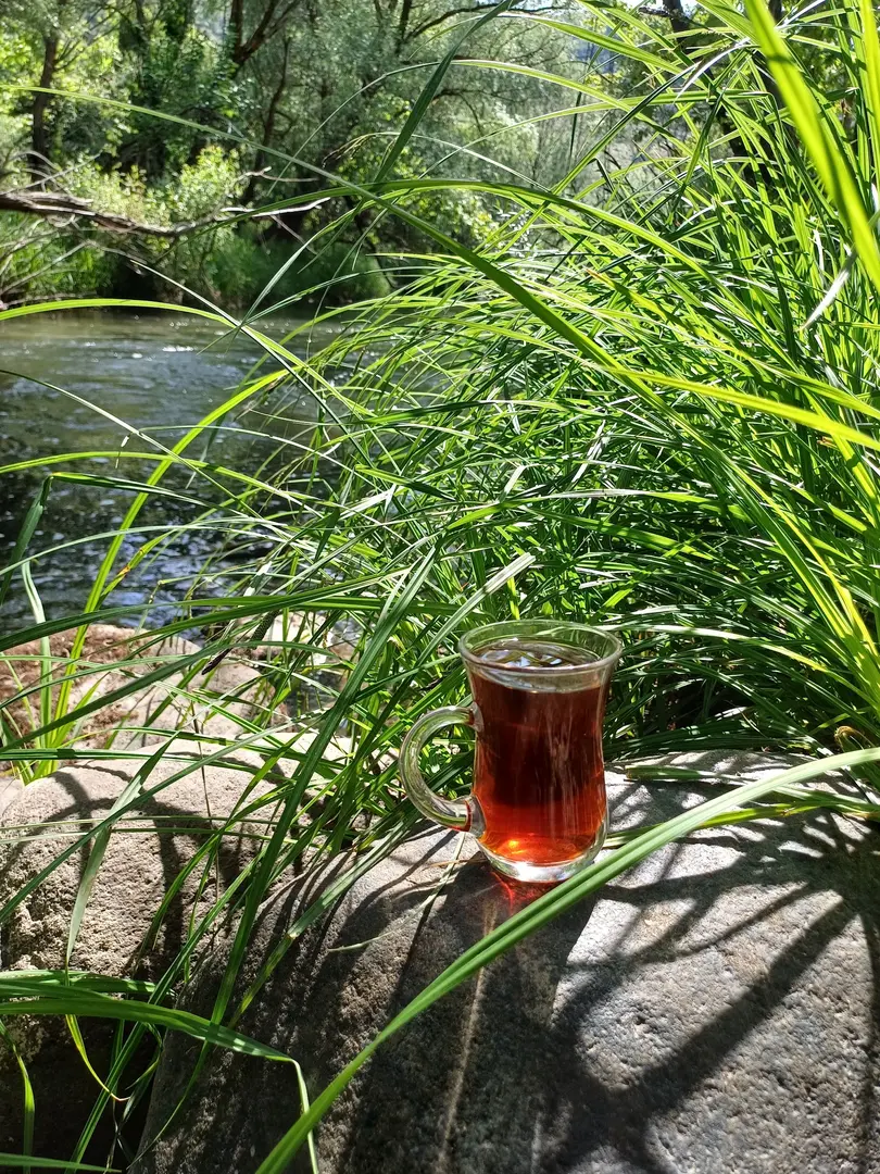 Gürkamp huzur — Balıkesir — küçük resim 4
