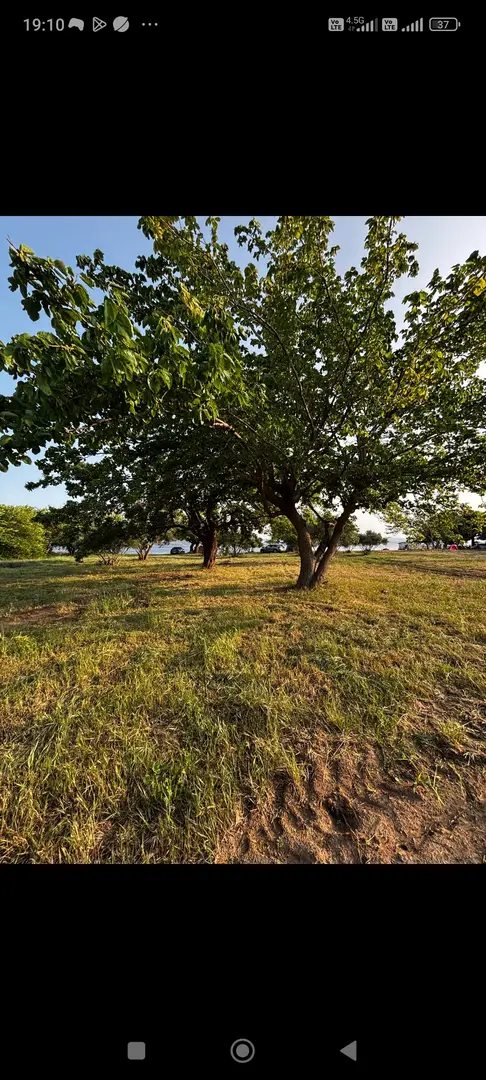 Arda Camping — Balıkesir — küçük resim 8
