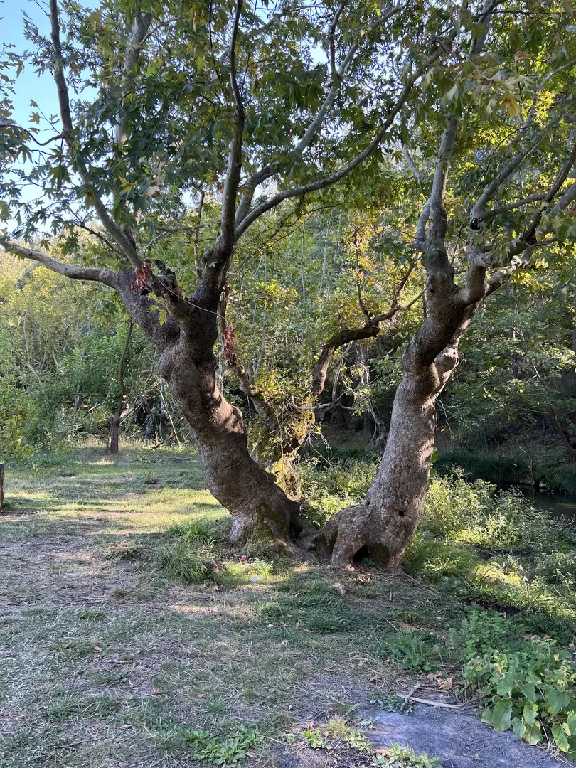 Suçıktı Camping Area — Balıkesir — küçük resim 7